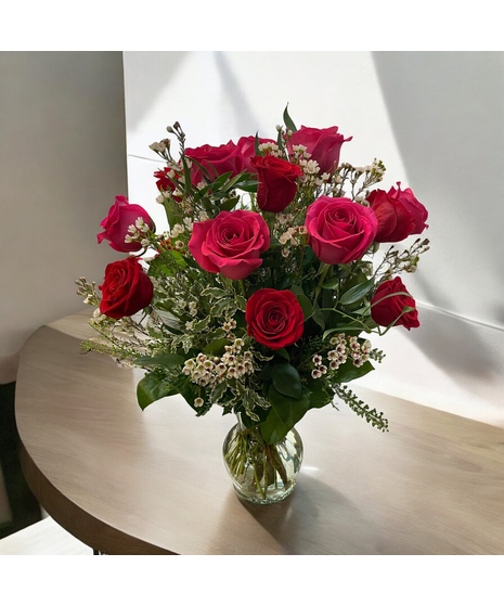 Dozen Tall Hot Pink and Red  Roses w/ filler