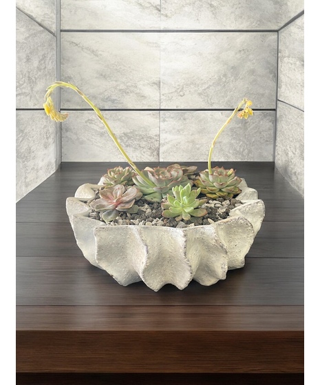 Sholes Succulent Planter